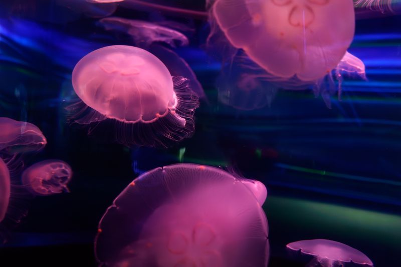 © Pierluigi Ciambra - Image from the Tales from nowhere photography project