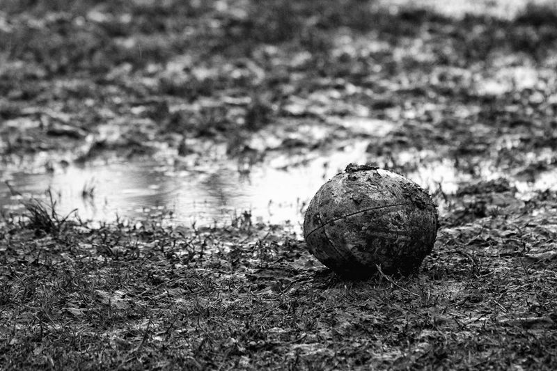 © Milla Mariani - Image from the Field_Experiment photography project