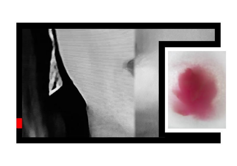 © Rivka Levi - Image from the option photography project