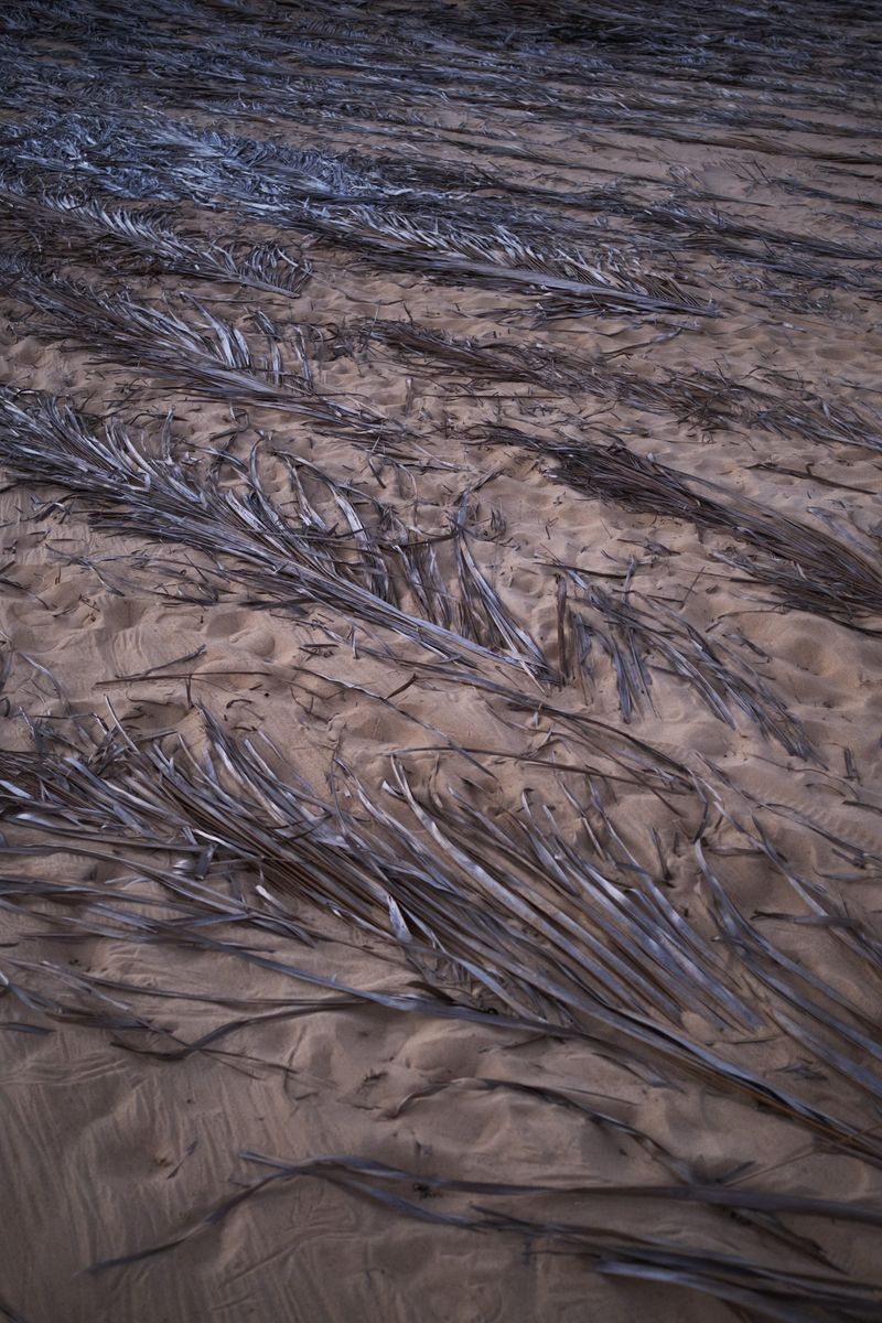 © Sabine van Wechem - At quilombo Pixaim.