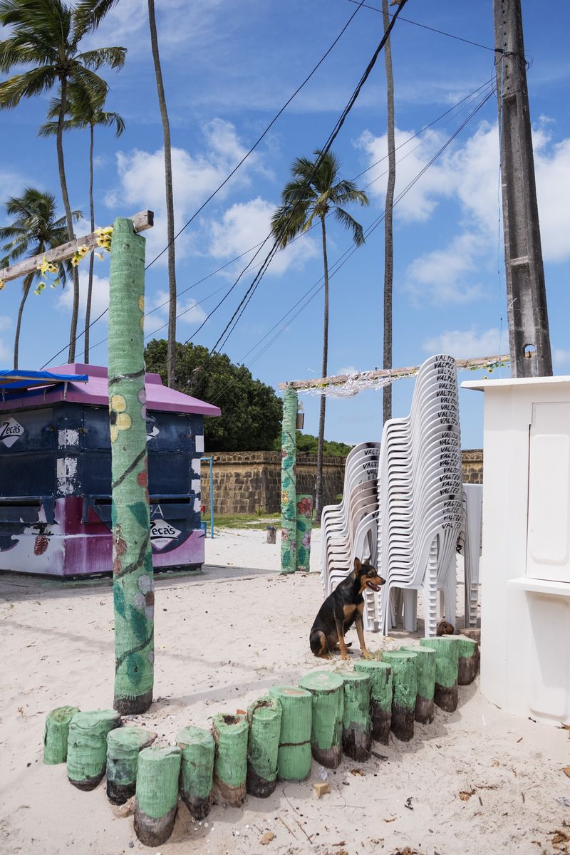 © Sabine van Wechem - Image from the Agridoce photography project