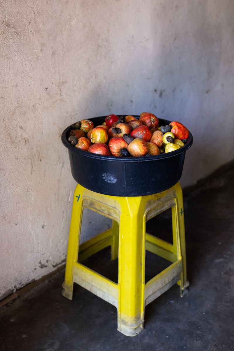 © Sabine van Wechem - Image from the Agridoce photography project