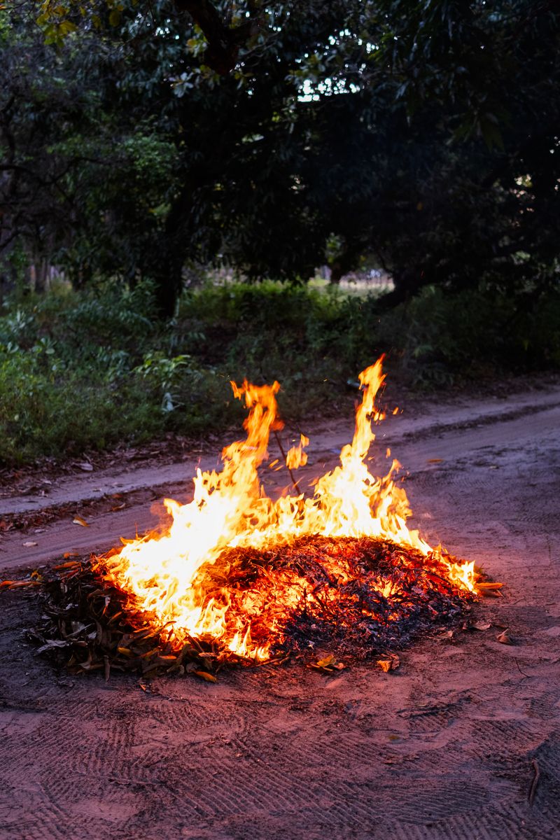 © Sabine van Wechem - Burning dead leaves after cleaning the land.