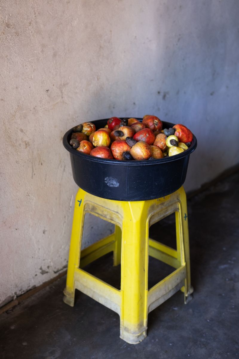 © Sabine van Wechem - Image from the Agridoce photography project