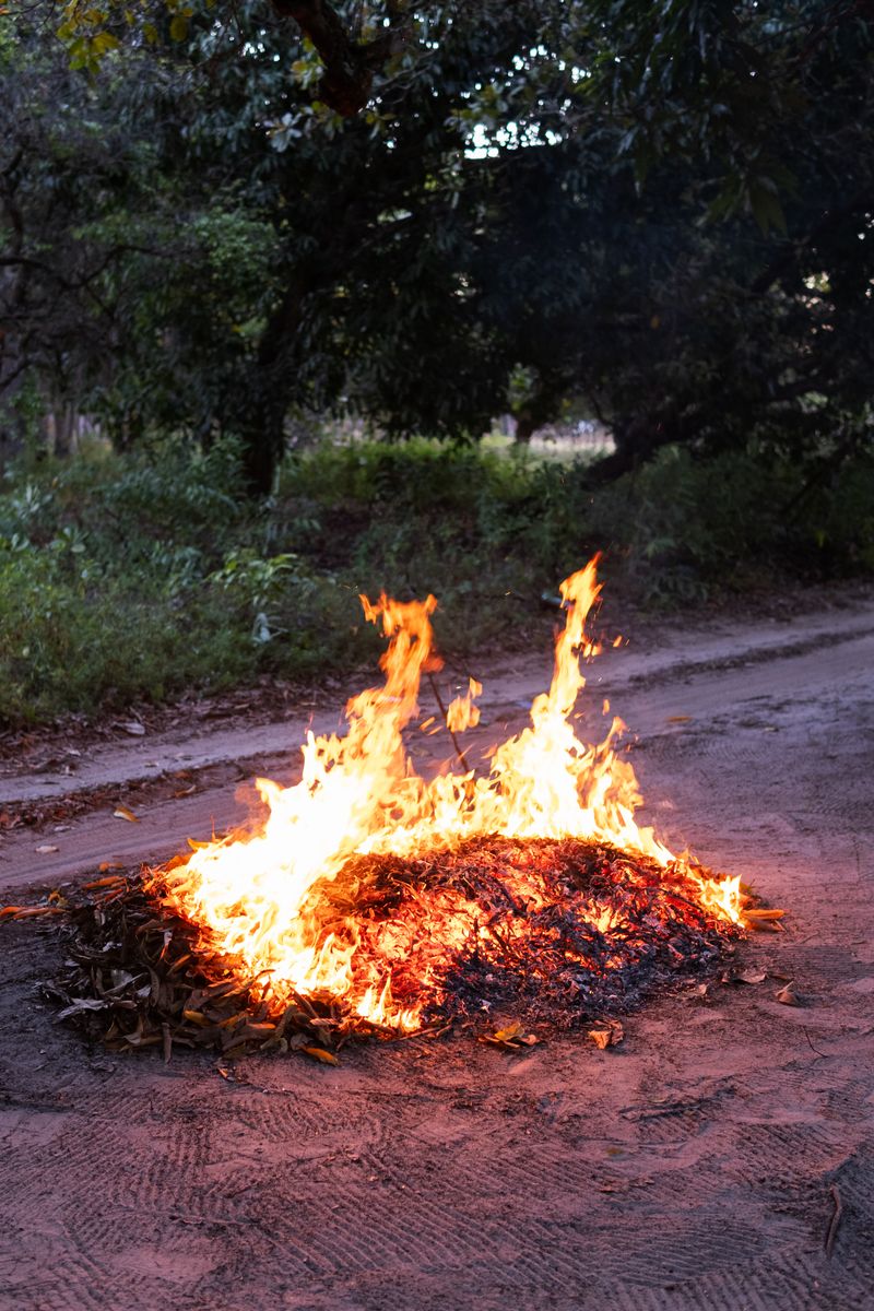 © Sabine van Wechem - Burning dead leaves after cleaning the land.