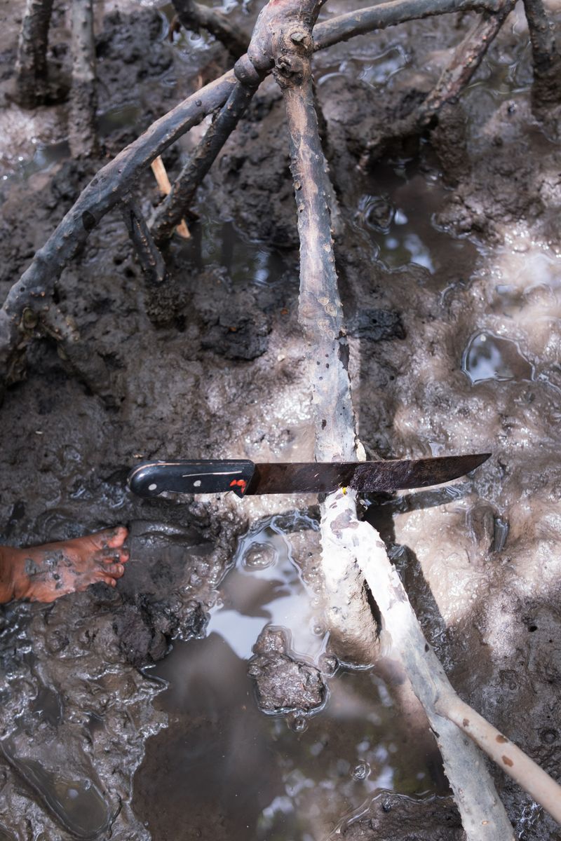 © Sabine van Wechem - The knife of Jaqueline used for catching crabs in the mangrove.
