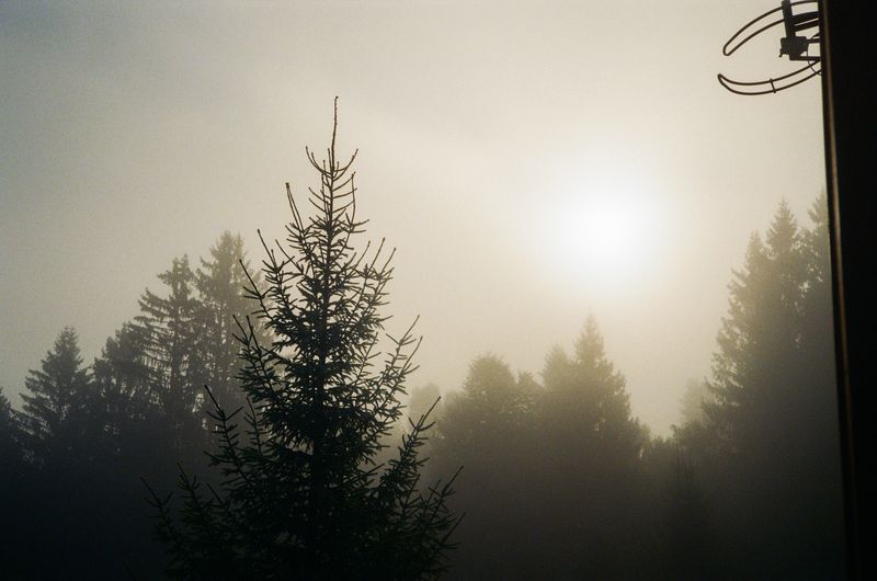 © Sabine van Wechem - Image from the Lovesong for Lin photography project