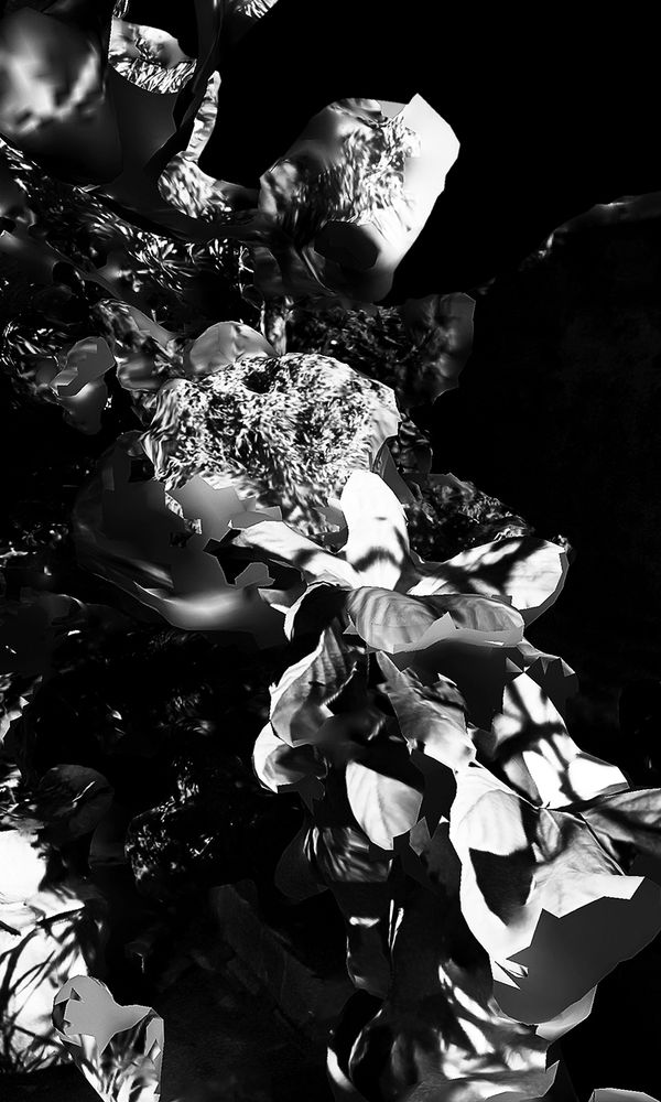 © Gene Chen - Image from the Light-Carved Something photography project