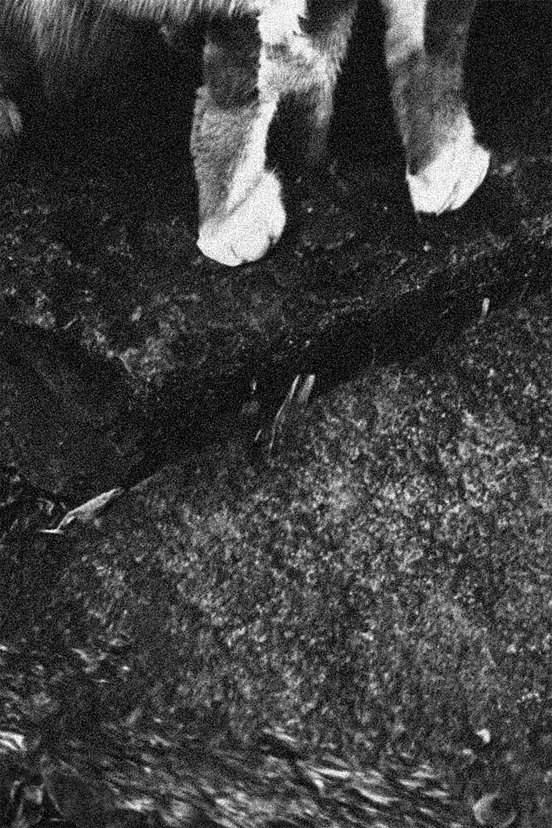 © Gene Chen - Image from the Organised Chaos photography project