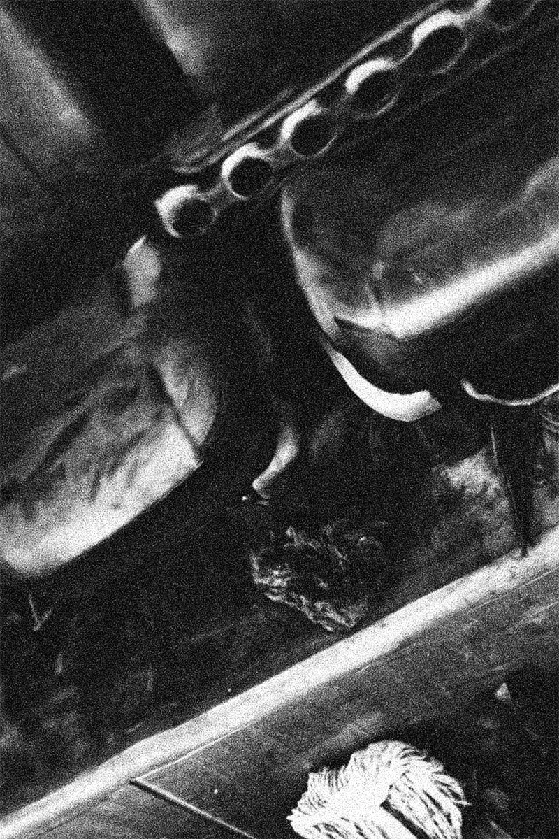 © Gene Chen - Image from the Organised Chaos photography project