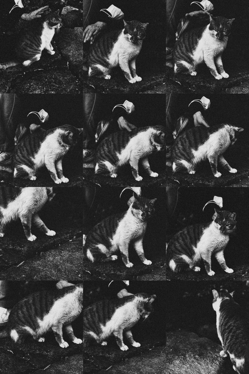 © Gene Chen - Image from the Organised Chaos photography project