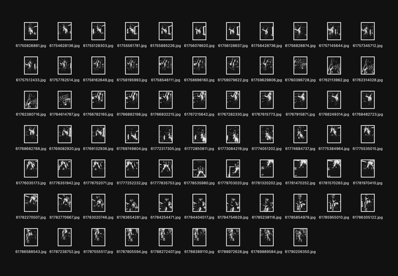 © Gene Chen - Sandwich Biscuit - FG