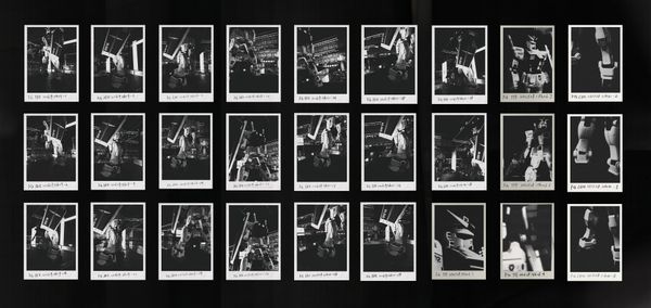 © Gene Chen - Sandwich Biscuit - FG