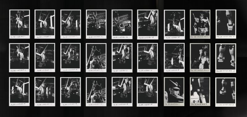 © Gene Chen - Sandwich Biscuit - FG