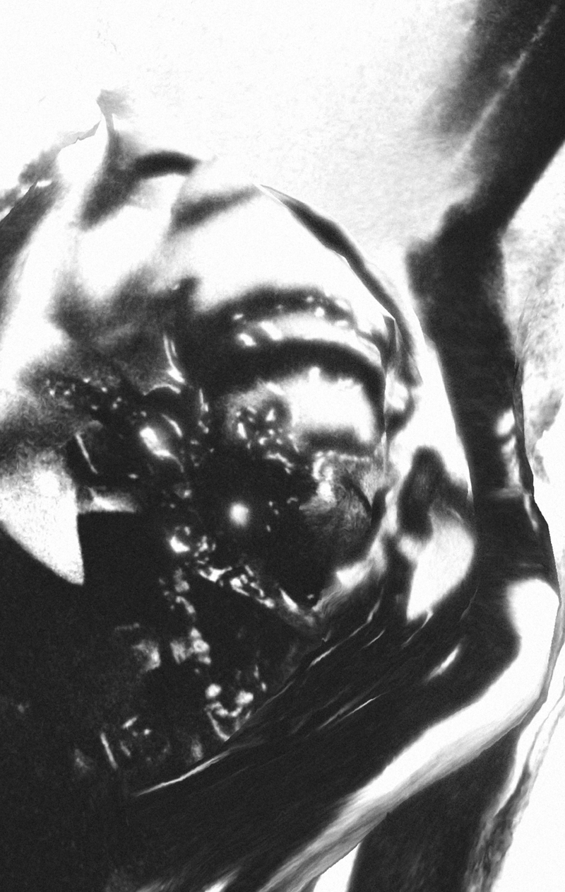 © Gene Chen - Sandwich Biscuit - E1