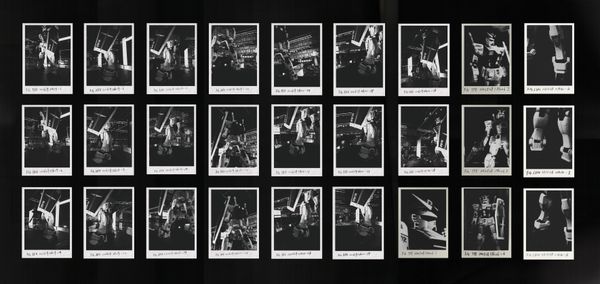 © Gene Chen - Image from the Sandwich Biscuit FG photography project