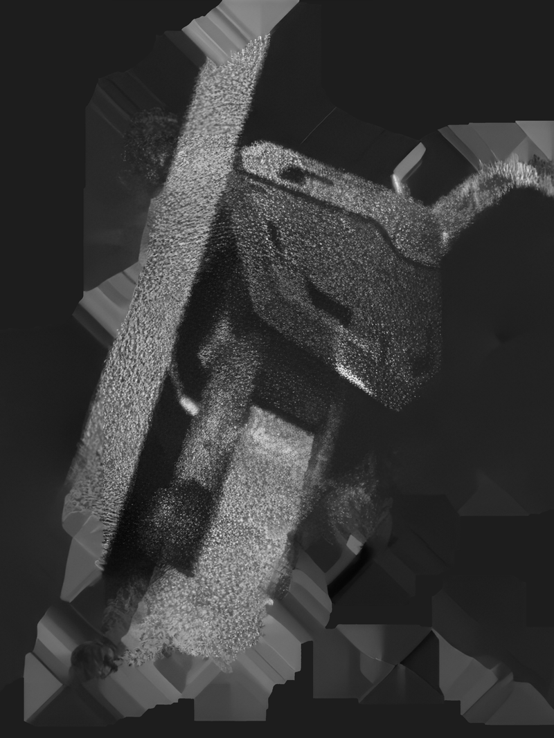 © Gene Chen - Image from the Sandwich Biscuit FG photography project