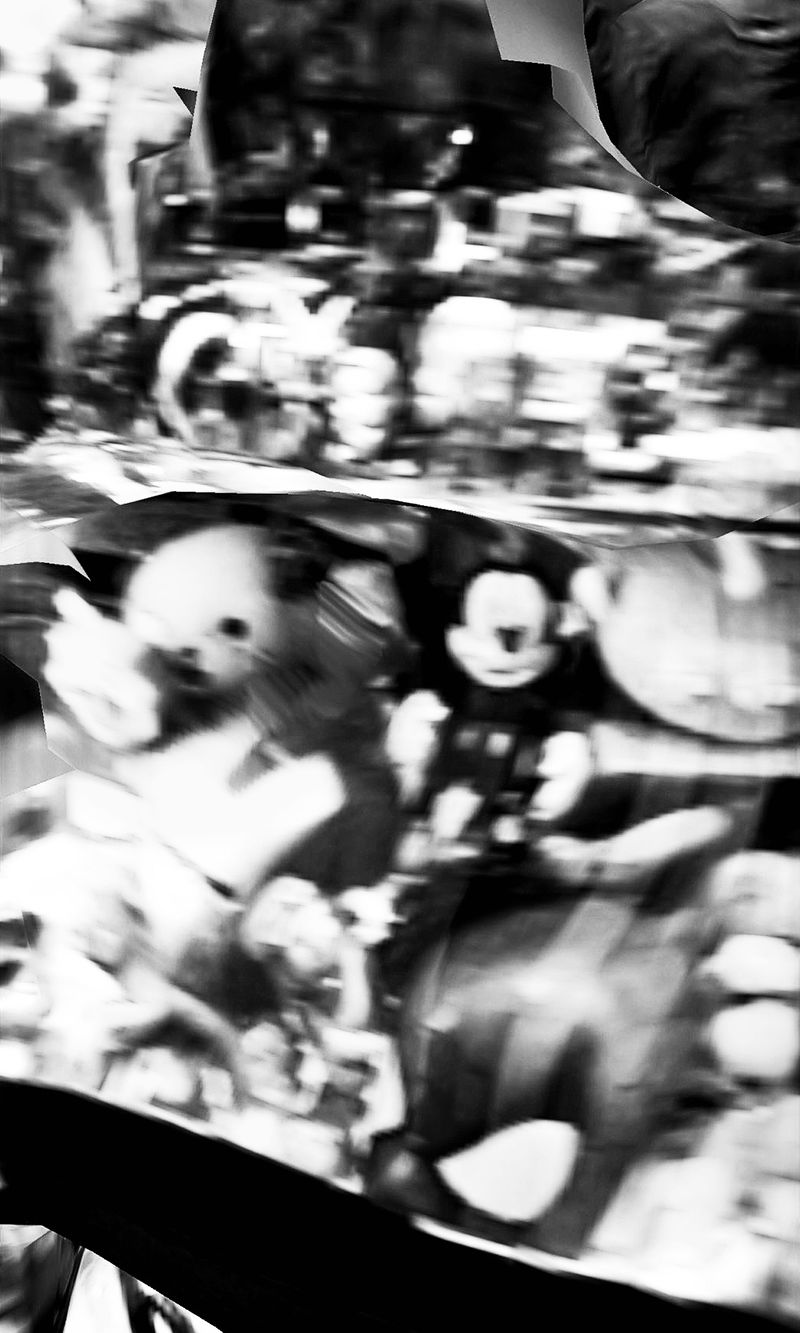 © Gene Chen - Image from the Sandwich Biscuit photography project