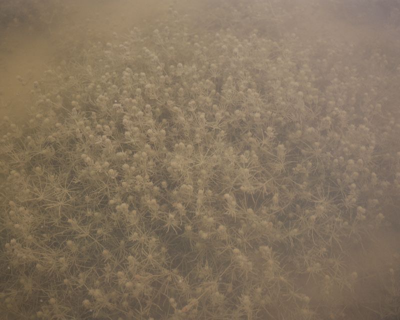 © Magnus Hove Johansson - Image from the And We Created From Water Every Living Thing photography project