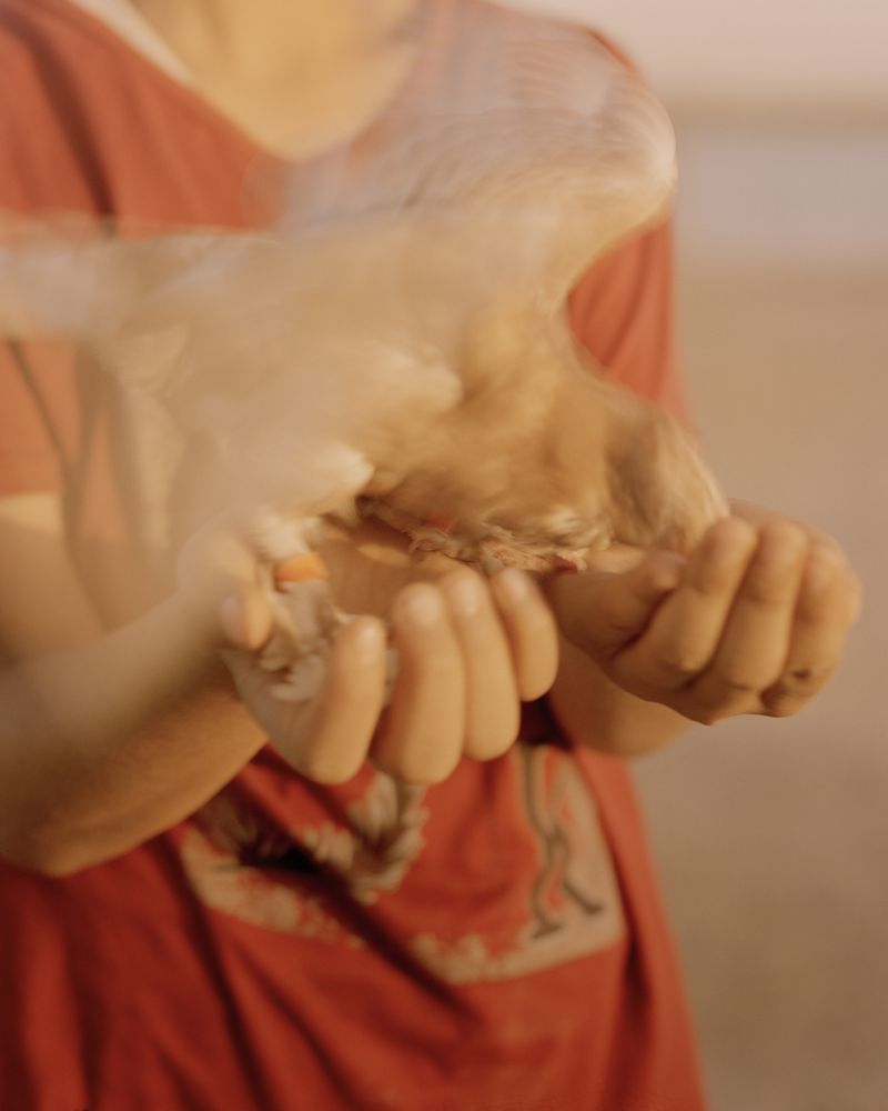 © Magnus Hove Johansson - Image from the And We Created From Water Every Living Thing photography project