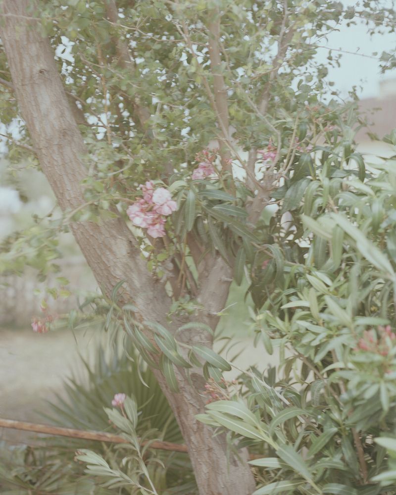 © Magnus Hove Johansson - Image from the And We Created From Water Every Living Thing photography project