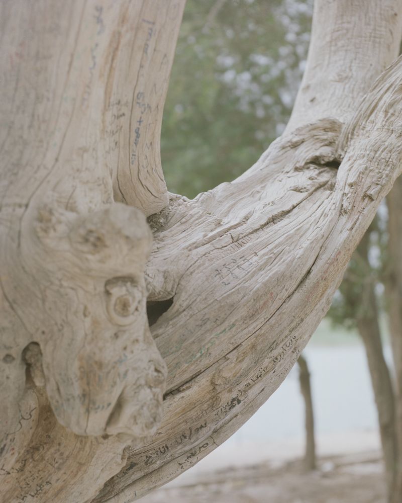 © Magnus Hove Johansson - Image from the And We Created From Water Every Living Thing photography project