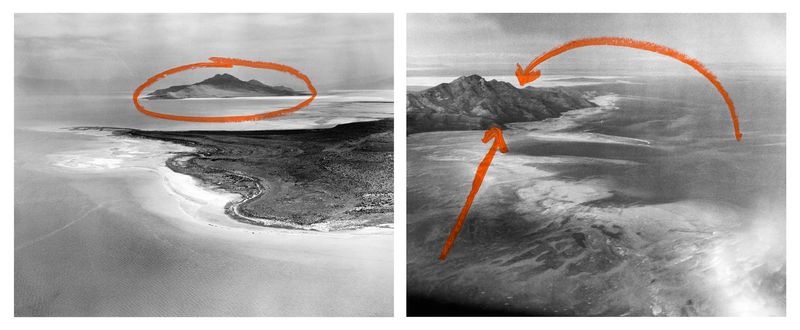 © Jaclyn Wright - Image from the High Visibility (Blaze Orange) photography project