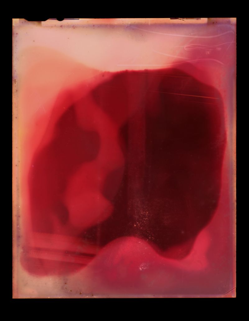 © Kate van der Drift - Image from the Listening to a Wet Land photography project