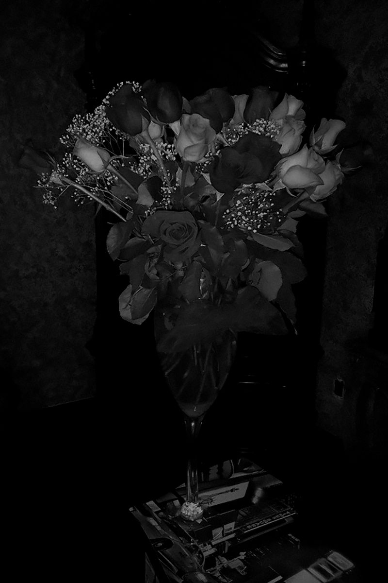 © Francisco Medail - Image from the PARTE photography project