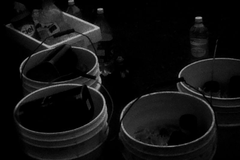 © Francisco Medail - Image from the PARTE photography project