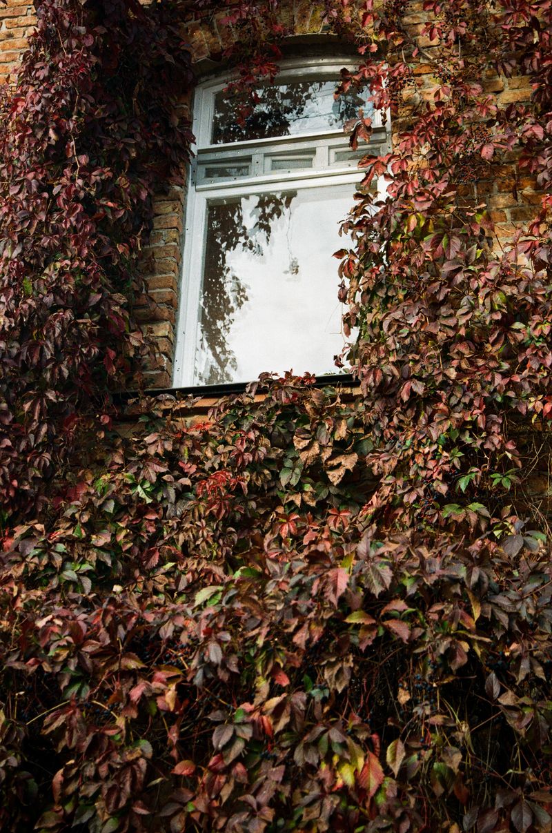© Lada Atamanchuk-Anhel - Image from the Before We Knew photography project