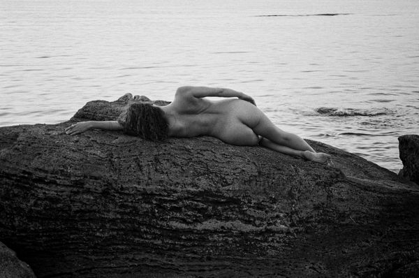 © Lada Atamanchuk-Anhel - Lines