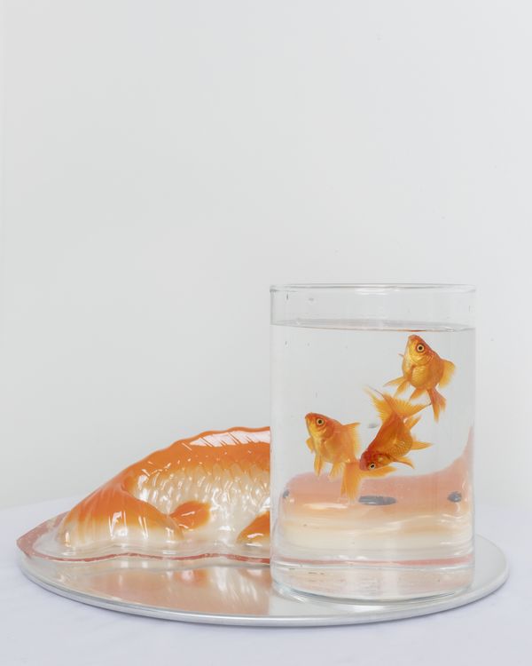 © Anh Nguyen - Image from the The Kitchen God Series photography project