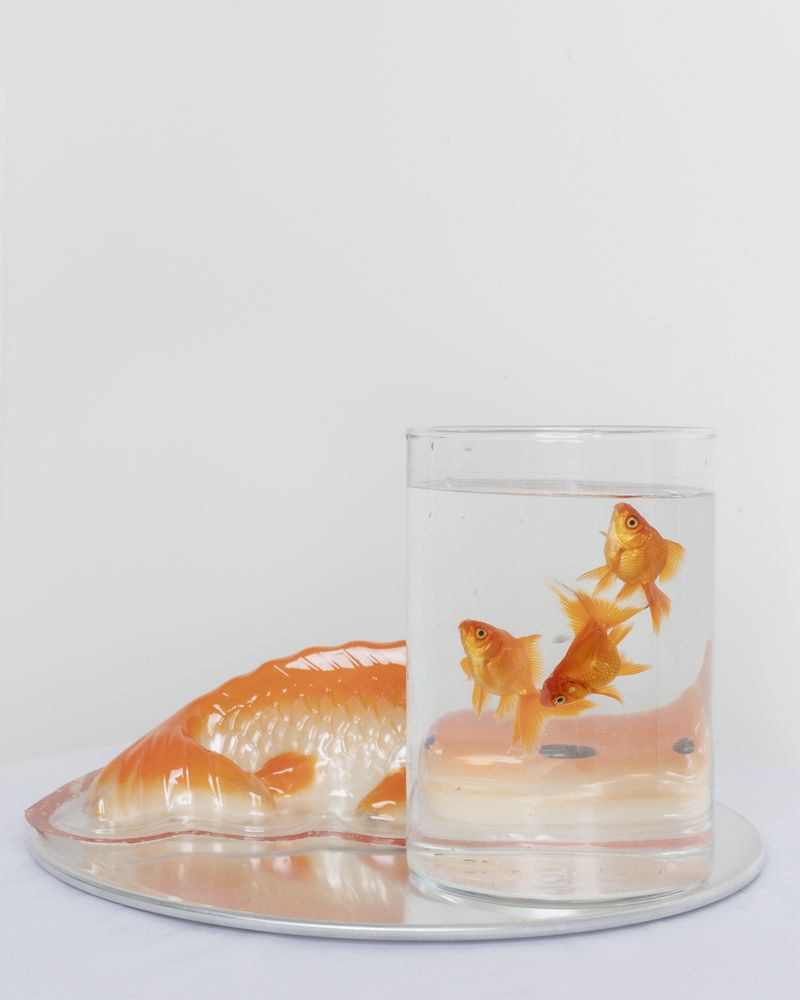 © Anh Nguyen - Image from the The Kitchen God Series photography project