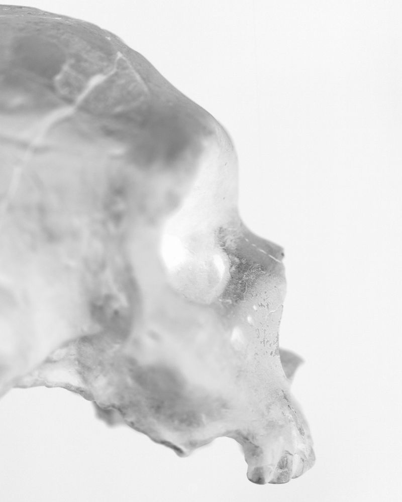 © Chiara Francesca Rizzuti - Image from the Y photography project