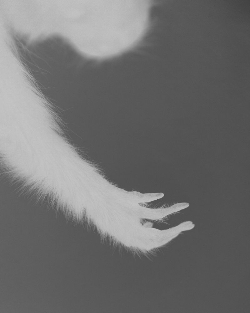 © Chiara Francesca Rizzuti - Image from the Y photography project