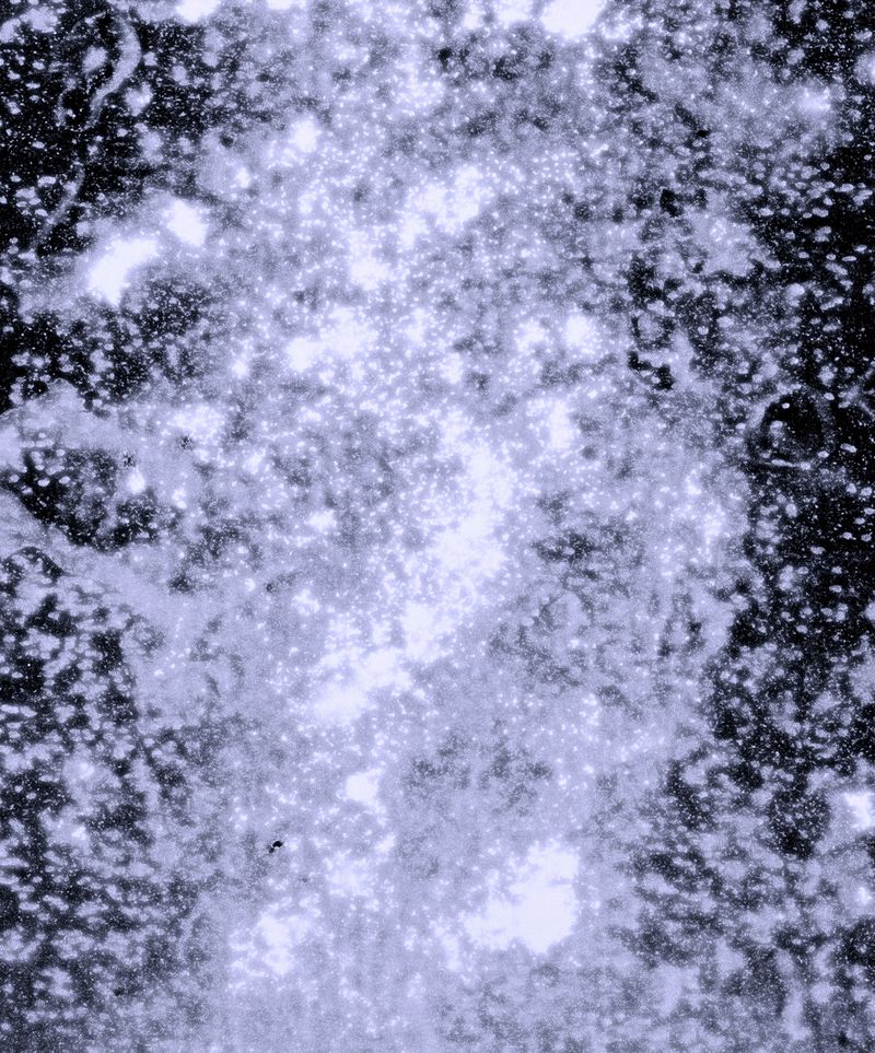 © Chiara Francesca Rizzuti - I asked the stars: “What about the violence on Earth?” They replied: “It doesn’t matter”.E.