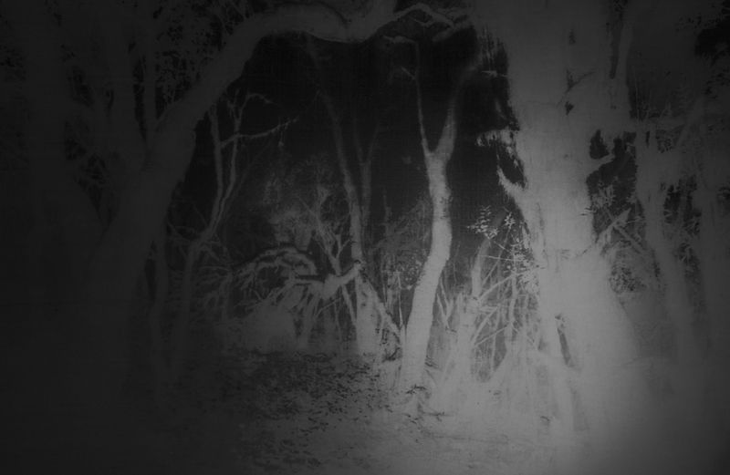 © Chiara Francesca Rizzuti - From a tale of N. about a journey he had with Mama Aya.