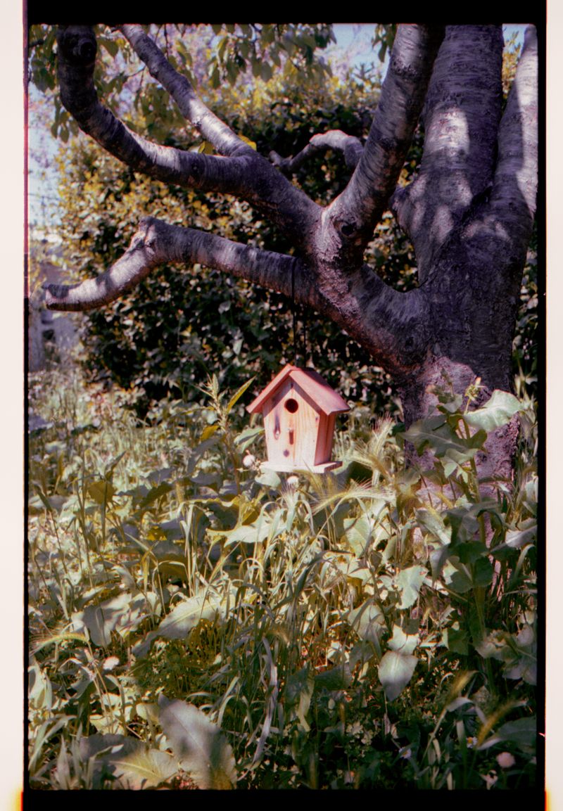 © Chiara Francesca Rizzuti - Image from the atypicals photography project