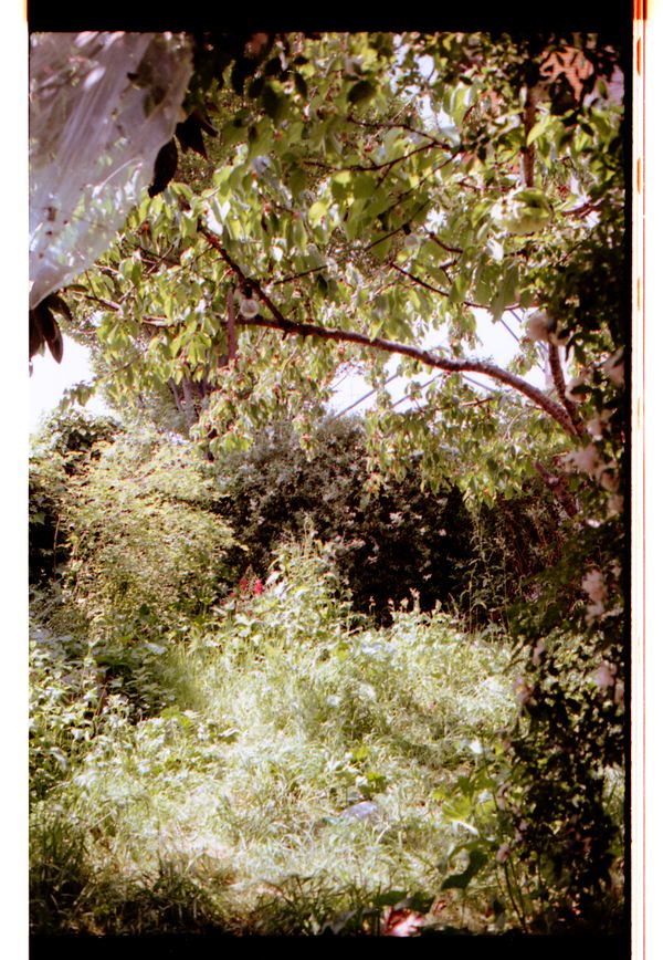 © Chiara Francesca Rizzuti - Image from the atypicals photography project