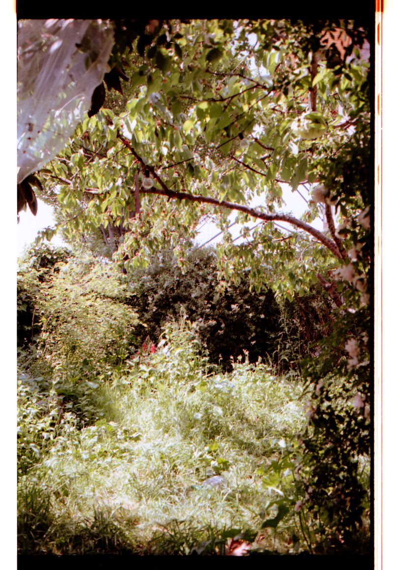 © Chiara Francesca Rizzuti - Image from the atypicals photography project