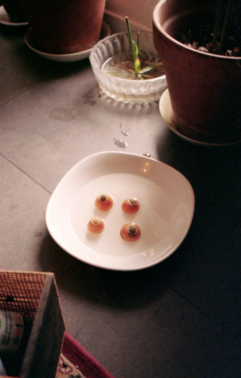 © Chiara Francesca Rizzuti - Image from the atypicals photography project