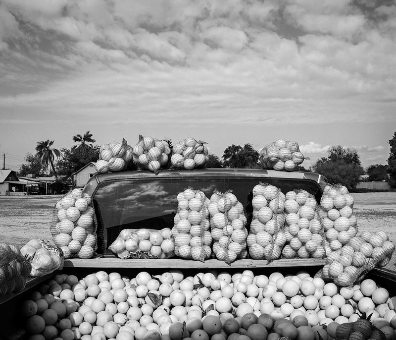 © John Trotter - Fresh local oranges, mostly from groves irrigated with Colorado River water brought from over 300 km away.