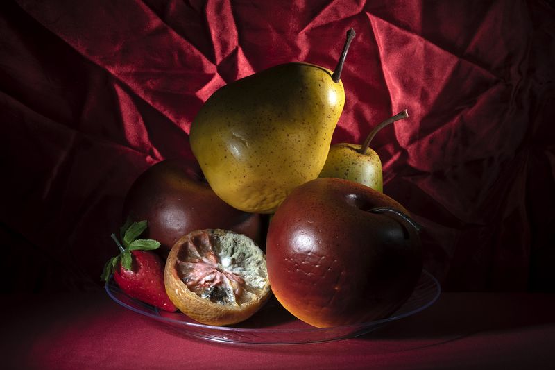 © Ashley Miller - Image from the Swallow A Little Bit! photography project