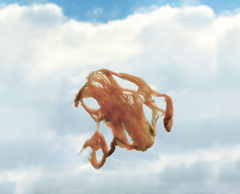 © Marie-Pierre Cravedi - Image from the What did they think when it got dark? photography project