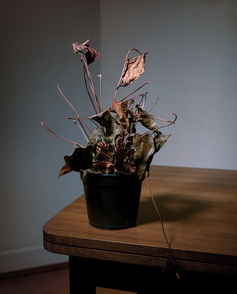 © Marie-Pierre Cravedi - Image from the What did they think when it got dark? photography project