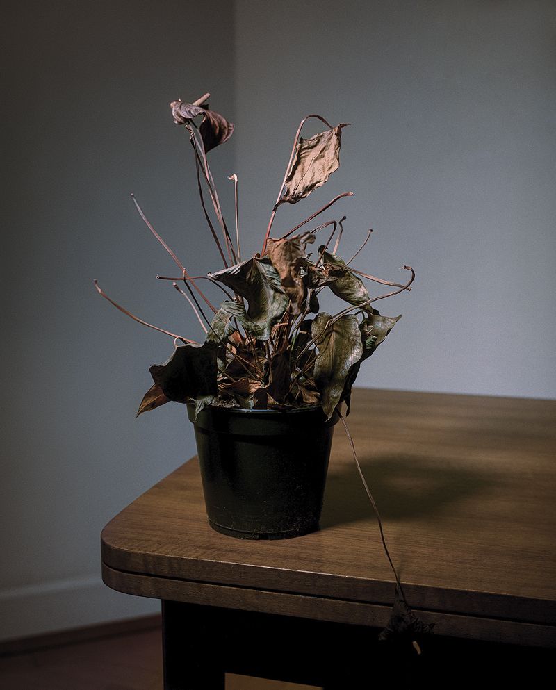 © Marie-Pierre Cravedi - Image from the What did they think when it got dark? photography project