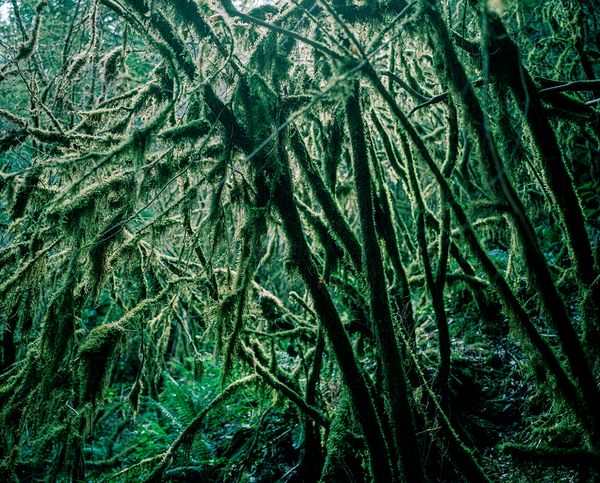 © Marie-Pierre Cravedi - Image from the What did they think when it got dark? photography project