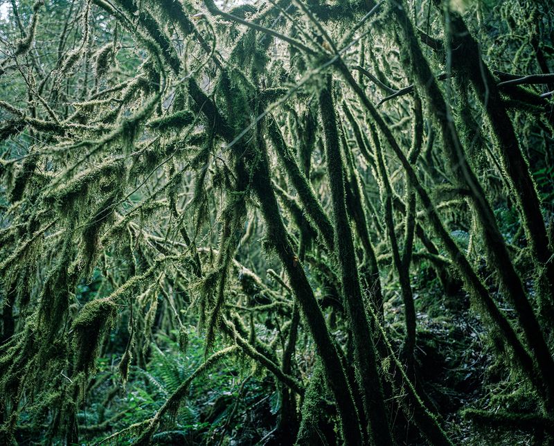 © Marie-Pierre Cravedi - Image from the What did they think when it got dark? photography project