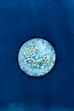 What did they think when it got dark?